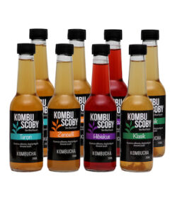 Kombucha Karışık - Kombu Çayı 8 adet x 250 ml