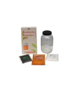 Kombuscoby Kombucha Mantarı - Kombucha Kültürü - Kombucha Scoby - Kombu Çayı Mini Kit